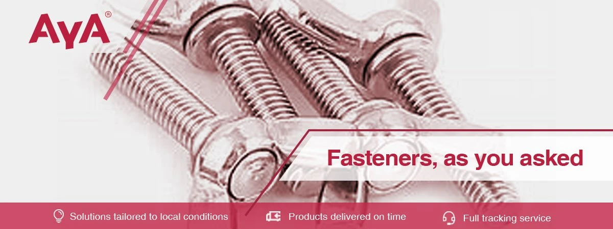 Stainless Steel Wing Screw-AYA Stainless Steel Wing Screw-AYA