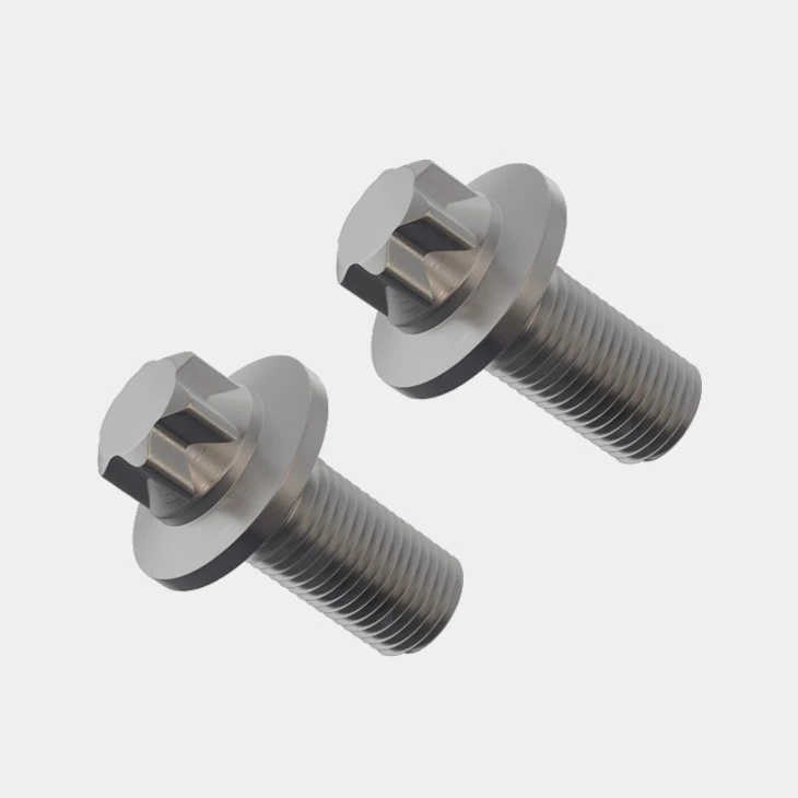 Stainless Torx Screws